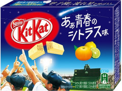 ネスレ キットカット あぁ青春のシトラス味