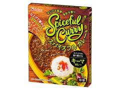 ハウス スパイスフルカレー キーマカレー