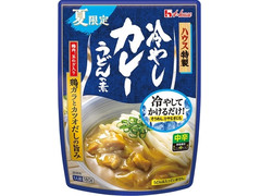 ハウス 冷やしカレーうどんの素 中辛 商品写真