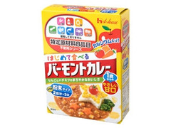 ハウス はじめて食べるバーモントカレー 1才からのやさしい甘口 粉末 商品写真