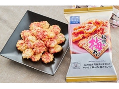 ローソン セレクト 紀州の梅あげ