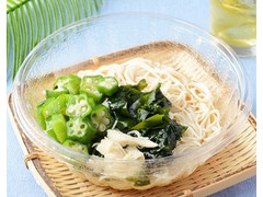 ミニぶっかけそうめん