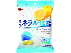 ミネラル塩飴 袋100g