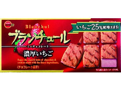 ブランチュール ミニチョコレート 濃厚いちご 箱12個