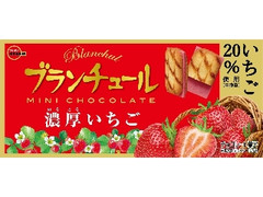 ブランチュールミニチョコレート 濃厚いちご 箱12個