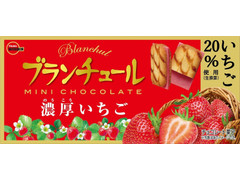 ブルボン ブランチュール ミニチョコレート 濃厚いちご