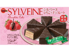 シルベーヌ いちご×チョコレート 箱6個