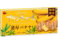 ブルボン ブランチュールミニチョコレート 濃厚バナナ 商品写真