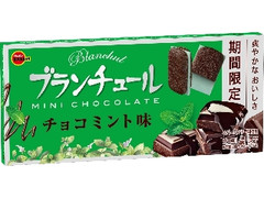 ブランチュール ミニチョコレート チョコミント味 箱12個