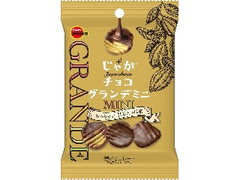 じゃがチョコグランデミニ 袋41g