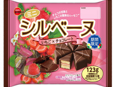 ブルボン ミニシルベーヌ いちご×チョコレート