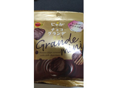 ブルボン じゃがチョコグランデミニ 商品写真