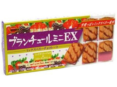 ブルボン ブランチュールミニEX ミックスベリーチョコレート 商品写真