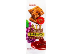 東ハト オールレーズン チョコ仕立て 袋2枚×6