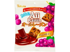 東ハト ちっちゃいオールレーズン チョコ仕立て