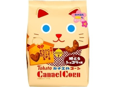 東ハト カナエルコーン ガトーショコラ味 商品写真