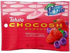 東ハト チョコッシュ ダブルベリーショコラ 商品写真