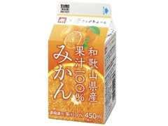 メイトー メイトー×ニッポンエール 和歌山県産果汁100％ みかん
