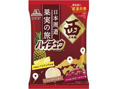森永製菓 日本周遊ハイチュウアソート 西日本編 商品写真