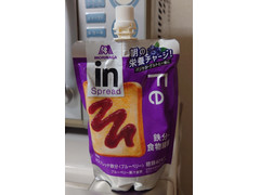 森永製菓 inスプレッド鉄分 ブルーベリー 商品写真