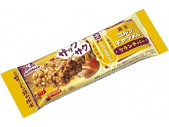 からだシフト プロテインプラス ホエイプロテイン ストロベリー からだシフト プロテインプラス ホエイプロテイン ストロベリー