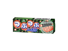 森永製菓 つぶつぶハイチュウ つぶスイカ 商品写真