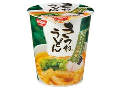 日清食品 日清のきつねうどん 関西風だし 商品写真