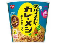 日清食品 スパイスカレー 日清カレーメシ おしゃれチキン 商品写真