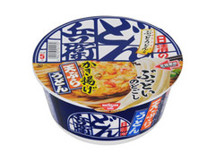 日清 どん兵衛 かき揚げ天ぷらうどん ［東］ カップ101g