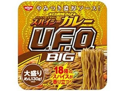 日清食品 スパイシーカレービッグ 商品写真