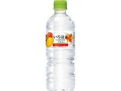  ペット555ml