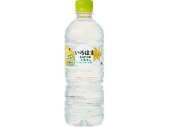  ペット555ml