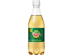 ジンジャーエール ペット500ml