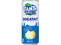 コカ・コーラ ファンタ 世界のおいしいフレーバー ソカタ 商品写真