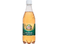 ジンジャーエール ペット500ml