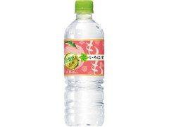  ペット555ml