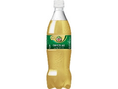 ジンジャエール ペット700ml