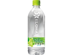  ペット540ml