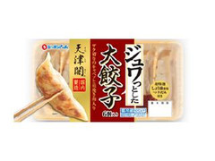 ニッポンハム 天津閣 大餃子 商品写真