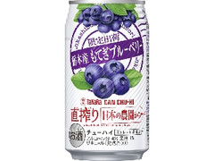 タカラ CANチューハイ 直搾り 日本の農園から 栃木産もてぎブルーベリー 缶350ml