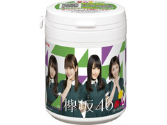 ロッテ 欅坂46キュートデザインボトルガム 商品写真