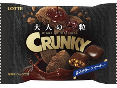 ロッテ 大人の一粒クランキー ポップジョイ 深みビター×クッキー 商品写真