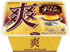 ロッテ 爽 純喫茶風プリン味 商品写真