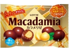 マカダミアチョコレートポップジョイ カラメリゼ 袋34g