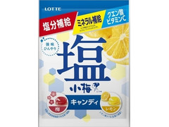 ロッテ 塩小梅 梅＆レモン 商品写真