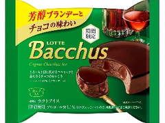 ロッテ バッカスチョコアイス 袋100ml