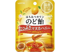 はちみつカリンのど飴 たっぷりマヌカハニー 袋26g