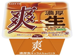 ロッテ 爽 濃厚生キャラメルinバニラ 商品写真