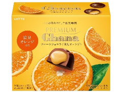 ロッテ プレミアムガーナ フルーツショコラ 清見オレンジ