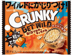 ロッテ GET WILDクランキーポップジョイ BIGソルティキャラメル 商品写真